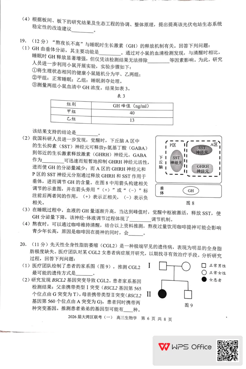 2026届大湾区普通高中毕业年级联合模拟考试(一)+生物学(1)_2026年1月_260128广东省大湾区2026届普通高中毕业年级高三年级联合模拟考试（一）（全科）
