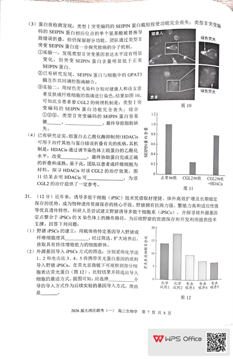2026届大湾区普通高中毕业年级联合模拟考试(一)+生物学(1)_2026年1月_260128广东省大湾区2026届普通高中毕业年级高三年级联合模拟考试（一）（全科）