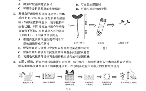 2026届大湾区普通高中毕业年级联合模拟考试(一)+生物学(1)_2026年1月_260128广东省大湾区2026届普通高中毕业年级高三年级联合模拟考试（一）（全科）