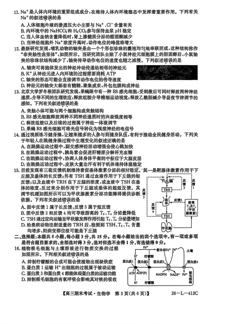 生物试卷-黑龙江省齐齐哈尔市2026届高三上学期1月期末考试（26&mdash;L&mdash;412C）(1)_2026年1月_260111黑龙江省齐齐哈尔市2026届高三上学期1月期末考试（26&mdash;L&mdash;412C）（全科）