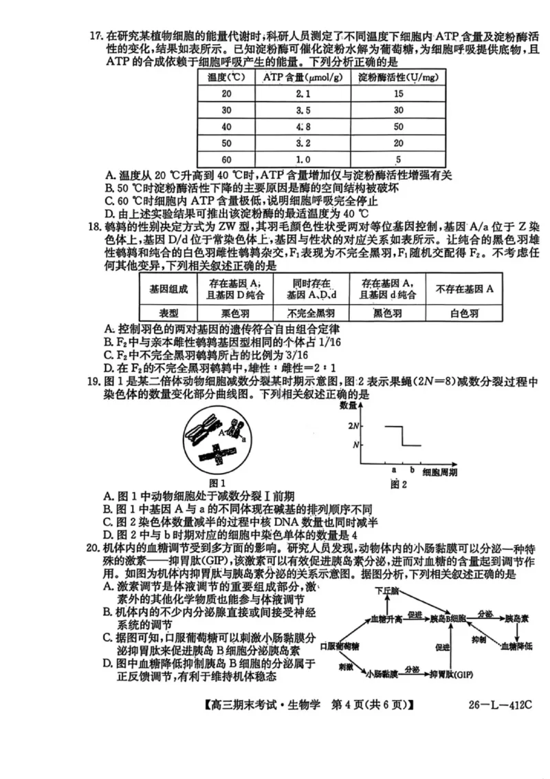 生物试卷-黑龙江省齐齐哈尔市2026届高三上学期1月期末考试（26&mdash;L&mdash;412C）(1)_2026年1月_260111黑龙江省齐齐哈尔市2026届高三上学期1月期末考试（26&mdash;L&mdash;412C）（全科）
