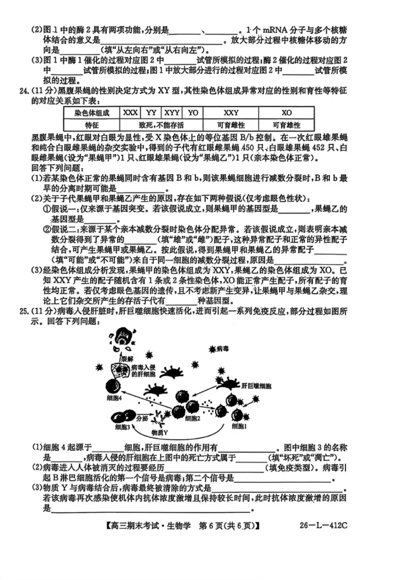 生物试卷-黑龙江省齐齐哈尔市2026届高三上学期1月期末考试（26&mdash;L&mdash;412C）(1)_2026年1月_260111黑龙江省齐齐哈尔市2026届高三上学期1月期末考试（26&mdash;L&mdash;412C）（全科）