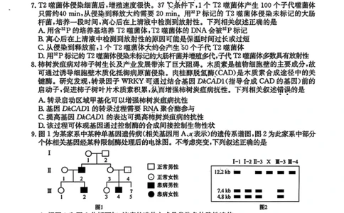 生物试卷-黑龙江省齐齐哈尔市2026届高三上学期1月期末考试（26&mdash;L&mdash;412C）(1)_2026年1月_260111黑龙江省齐齐哈尔市2026届高三上学期1月期末考试（26&mdash;L&mdash;412C）（全科）