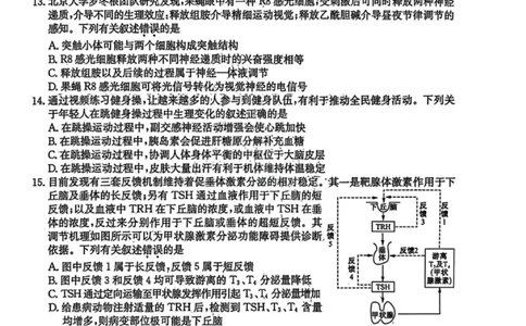 生物试卷-黑龙江省齐齐哈尔市2026届高三上学期1月期末考试（26&mdash;L&mdash;412C）(1)_2026年1月_260111黑龙江省齐齐哈尔市2026届高三上学期1月期末考试（26&mdash;L&mdash;412C）（全科）