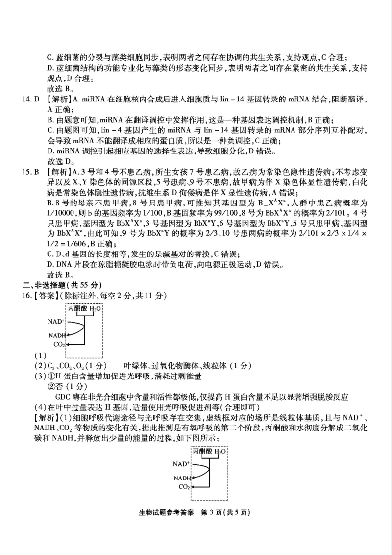 重庆市南开中学高2025届高三第八次质量检测生物答案_2025年5月_250510重庆市南开中学高2025届高三第八次质量检测（全科）_重庆市南开中学高2025届高三第八次质量检测生物