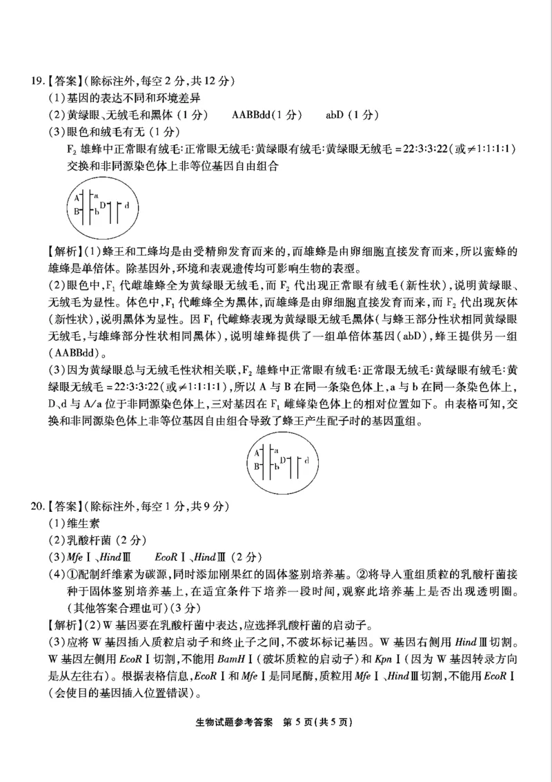 重庆市南开中学高2025届高三第八次质量检测生物答案_2025年5月_250510重庆市南开中学高2025届高三第八次质量检测（全科）_重庆市南开中学高2025届高三第八次质量检测生物