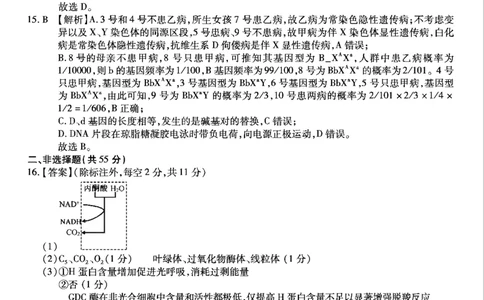 重庆市南开中学高2025届高三第八次质量检测生物答案_2025年5月_250510重庆市南开中学高2025届高三第八次质量检测（全科）_重庆市南开中学高2025届高三第八次质量检测生物