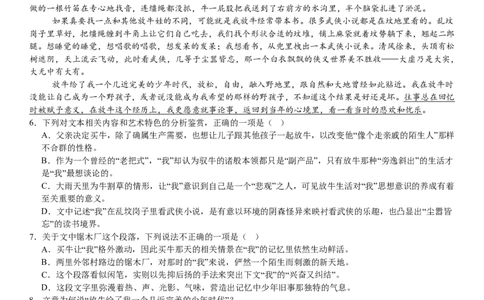 新课标Ⅰ语文-答案-p_近10年高考真题汇编（必刷）_2024年高考真题_高考真题（截止6.29）_新课标全国Ⅰ卷（语数英）