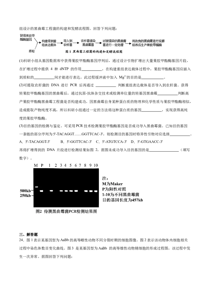 重庆市育才中学校、西南大学附属中学校2025-2026学年高三上学期开学考试生物+答案_2025年9月_250911重庆市育才中学校、西南大学附属中学校2025-2026学年高三上学期开学考试（全科）
