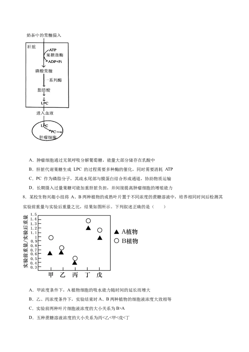 重庆市育才中学校、西南大学附属中学校2025-2026学年高三上学期开学考试生物+答案_2025年9月_250911重庆市育才中学校、西南大学附属中学校2025-2026学年高三上学期开学考试（全科）