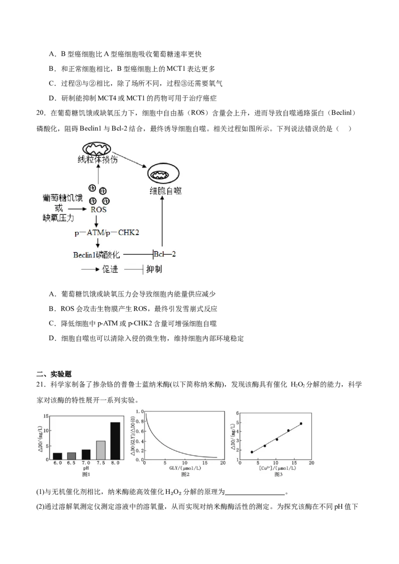 重庆市育才中学校、西南大学附属中学校2025-2026学年高三上学期开学考试生物+答案_2025年9月_250911重庆市育才中学校、西南大学附属中学校2025-2026学年高三上学期开学考试（全科）