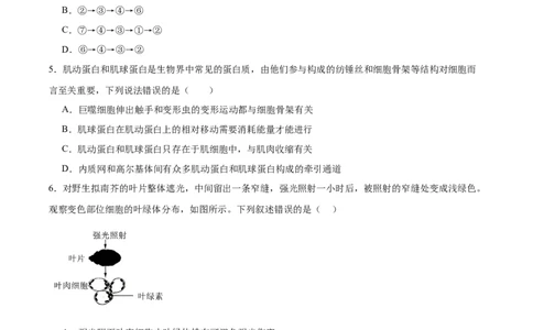 重庆市育才中学校、西南大学附属中学校2025-2026学年高三上学期开学考试生物+答案_2025年9月_250911重庆市育才中学校、西南大学附属中学校2025-2026学年高三上学期开学考试（全科）
