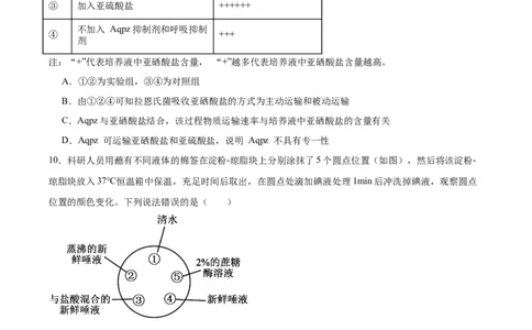 重庆市育才中学校、西南大学附属中学校2025-2026学年高三上学期开学考试生物+答案_2025年9月_250911重庆市育才中学校、西南大学附属中学校2025-2026学年高三上学期开学考试（全科）