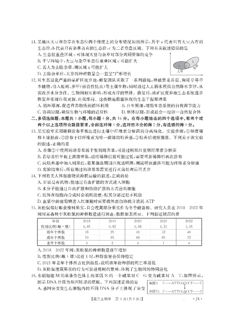 金太阳&middot;江西省2026届高三上学期8月百万大联考（26-1001C）生物_2025年9月_250901金太阳&middot;江西省2026届高三上学期8月百万大联考（26-1001C）（全科）