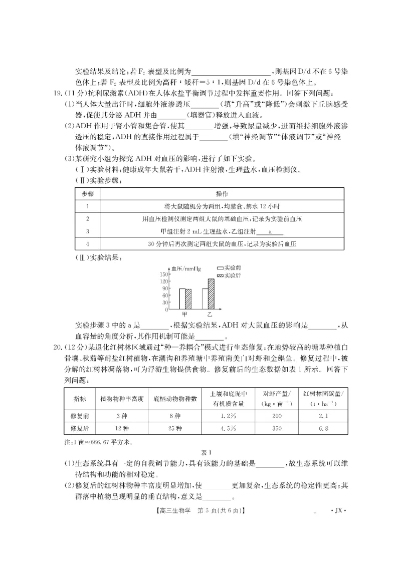 金太阳&middot;江西省2026届高三上学期8月百万大联考（26-1001C）生物_2025年9月_250901金太阳&middot;江西省2026届高三上学期8月百万大联考（26-1001C）（全科）