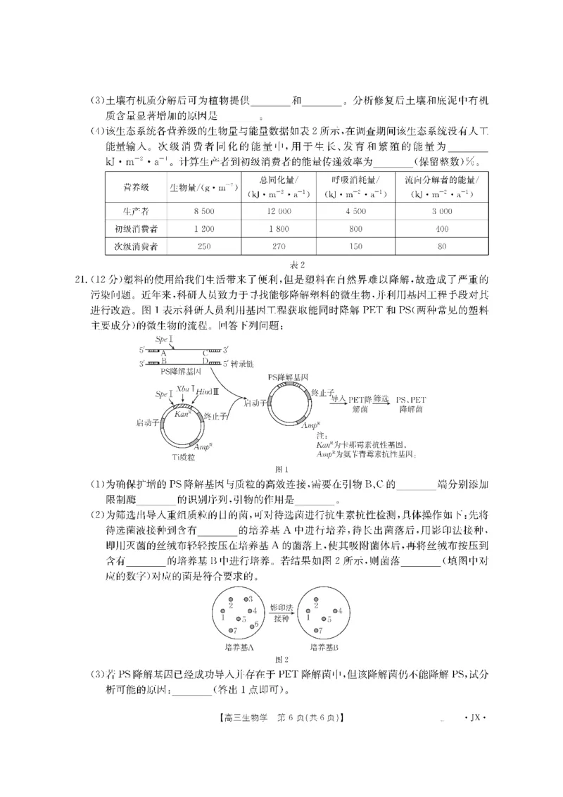 金太阳&middot;江西省2026届高三上学期8月百万大联考（26-1001C）生物_2025年9月_250901金太阳&middot;江西省2026届高三上学期8月百万大联考（26-1001C）（全科）