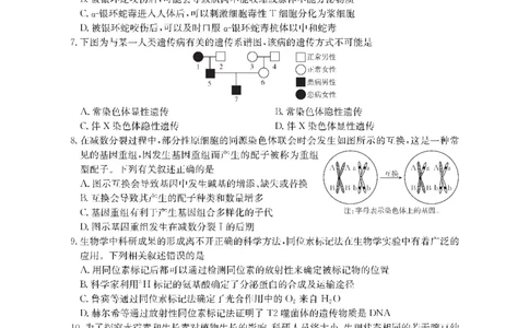 金太阳&middot;江西省2026届高三上学期8月百万大联考（26-1001C）生物_2025年9月_250901金太阳&middot;江西省2026届高三上学期8月百万大联考（26-1001C）（全科）