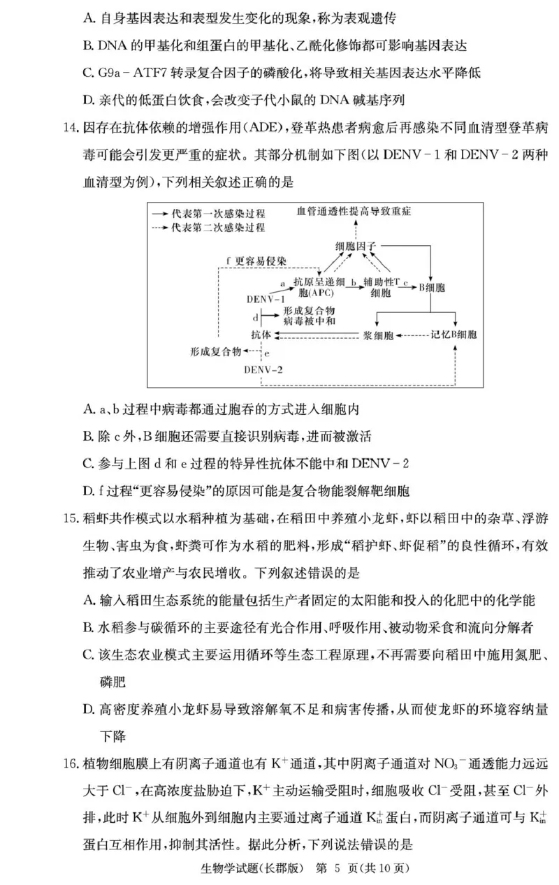 2026届湖南省长沙市长郡中学高三上学期月考试卷(五)生物学试题(1)_2026年1月_260104湖南省长沙市长郡中学2025-2026学年高三上学期月考（五）
