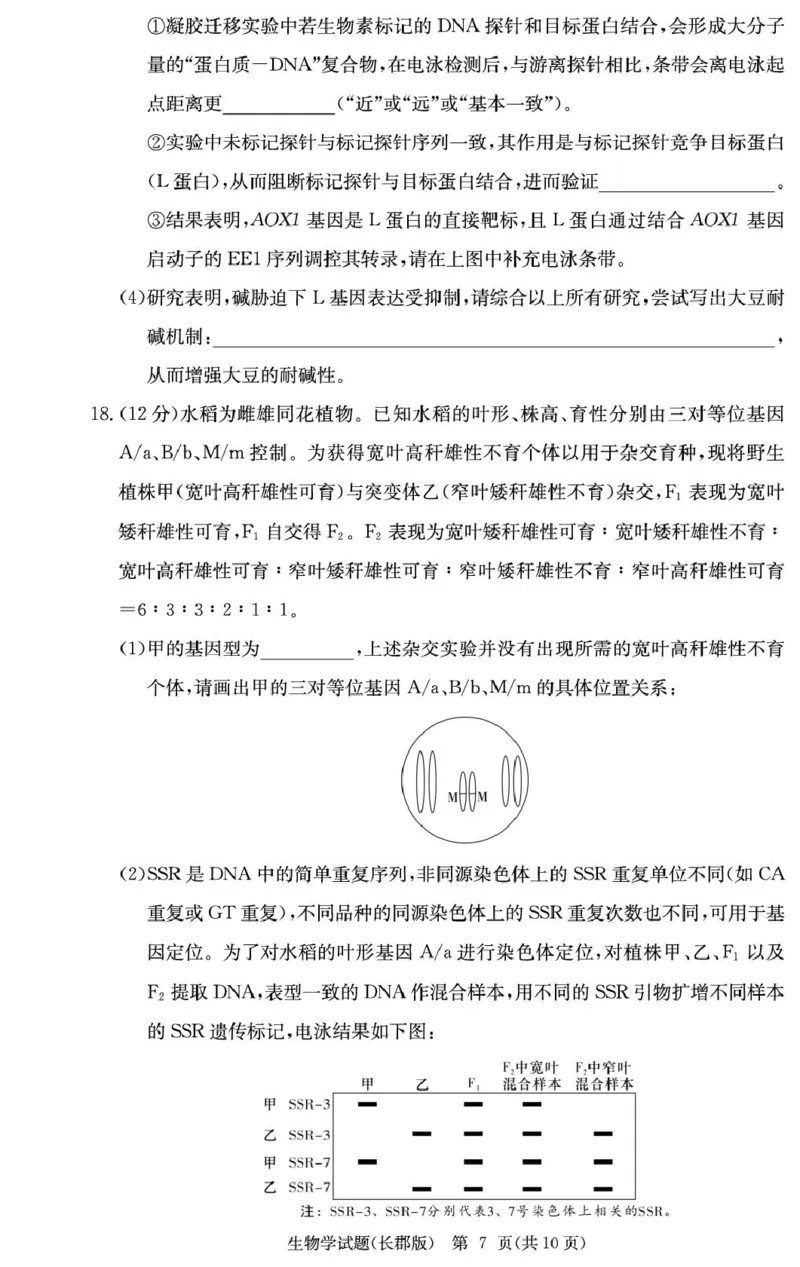 2026届湖南省长沙市长郡中学高三上学期月考试卷(五)生物学试题(1)_2026年1月_260104湖南省长沙市长郡中学2025-2026学年高三上学期月考（五）