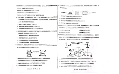 内蒙古包头市2022-2023学年高三上学期开学调研考试生物试题(1)_2023年7月_027月合集_2023届内蒙古包头市高三上学期开学调研考试