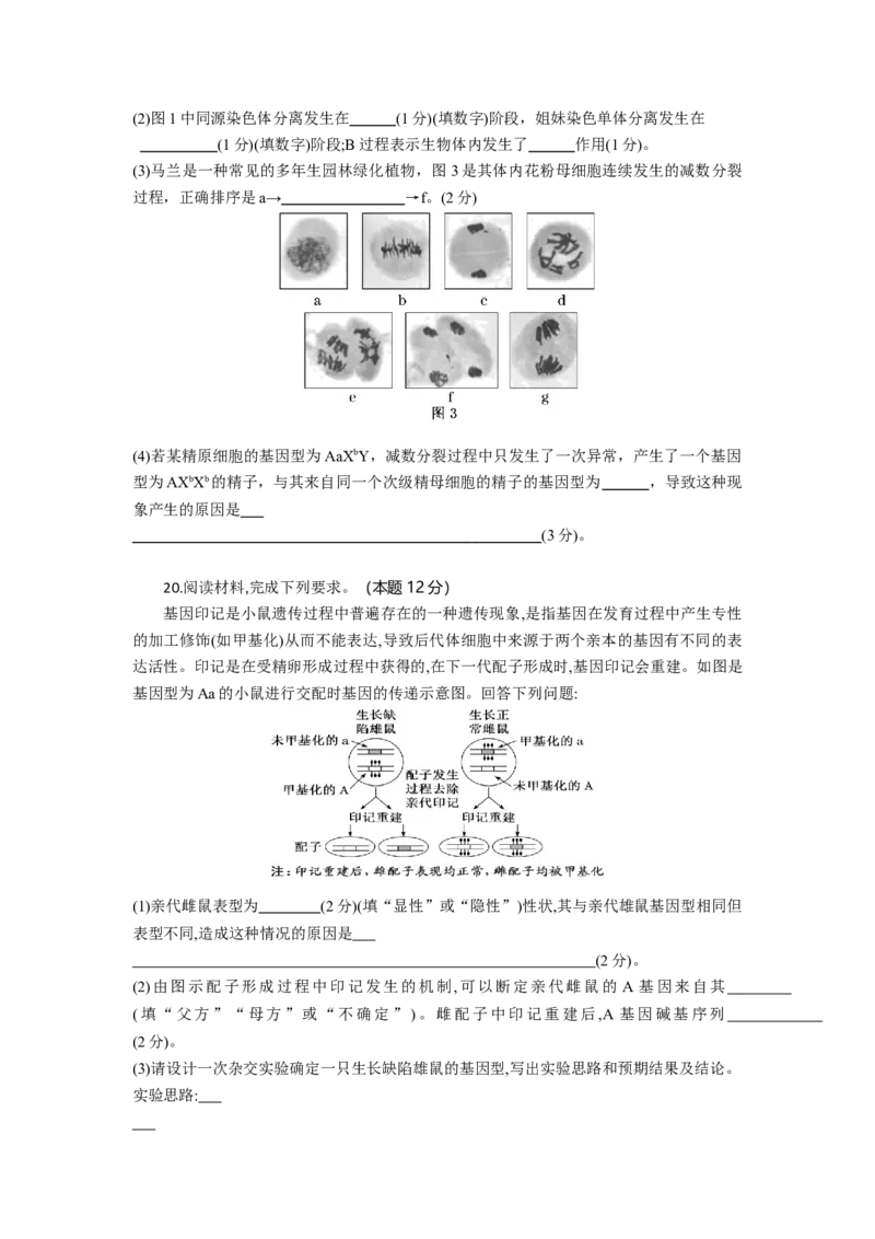 高三生物试题考试版_2025年10月_251030湖北省八校2026届高三上学期一模考试（全科）_湖北省八校2026届高三上学期一模考试生物试题（含答案）