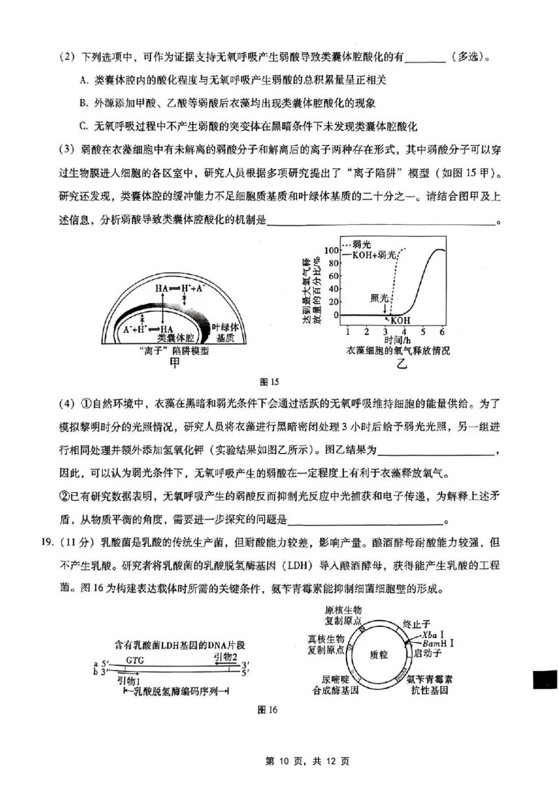 重庆市第八中学2025届高三5月适应性月考卷（七）生物_2025年5月_250515重庆市第八中学2025届高三5月适应性月考卷（七）（全科）