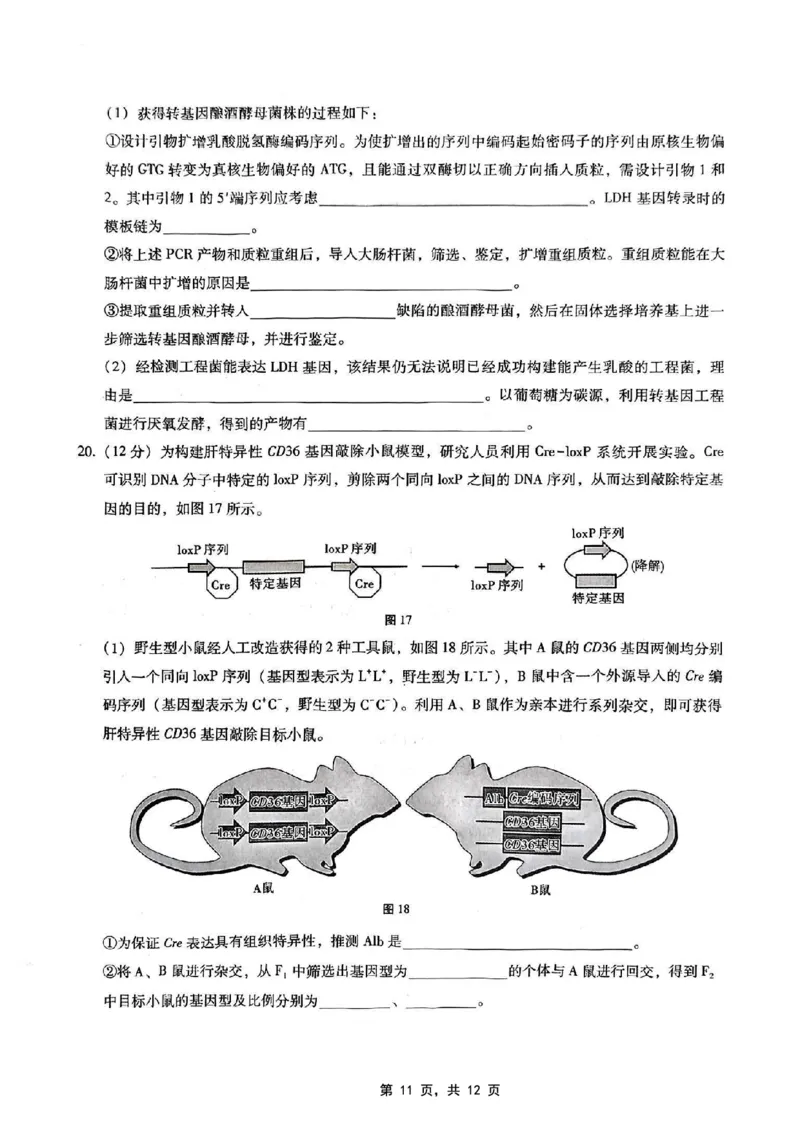 重庆市第八中学2025届高三5月适应性月考卷（七）生物_2025年5月_250515重庆市第八中学2025届高三5月适应性月考卷（七）（全科）