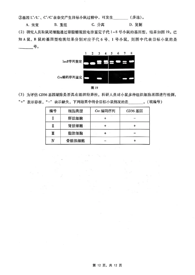 重庆市第八中学2025届高三5月适应性月考卷（七）生物_2025年5月_250515重庆市第八中学2025届高三5月适应性月考卷（七）（全科）