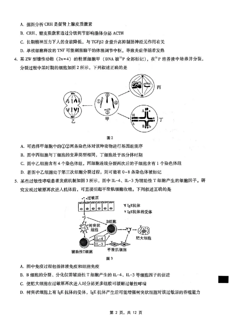 重庆市第八中学2025届高三5月适应性月考卷（七）生物_2025年5月_250515重庆市第八中学2025届高三5月适应性月考卷（七）（全科）