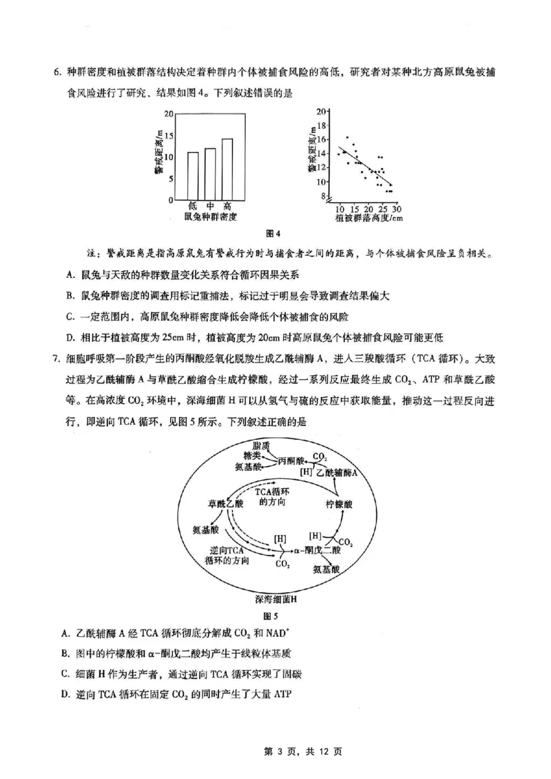 重庆市第八中学2025届高三5月适应性月考卷（七）生物_2025年5月_250515重庆市第八中学2025届高三5月适应性月考卷（七）（全科）