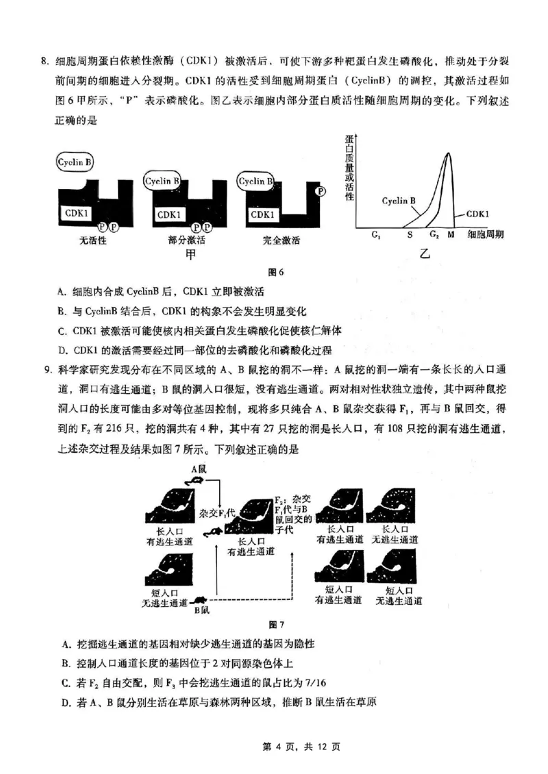 重庆市第八中学2025届高三5月适应性月考卷（七）生物_2025年5月_250515重庆市第八中学2025届高三5月适应性月考卷（七）（全科）