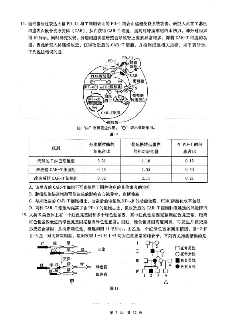 重庆市第八中学2025届高三5月适应性月考卷（七）生物_2025年5月_250515重庆市第八中学2025届高三5月适应性月考卷（七）（全科）