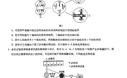 重庆市第八中学2025届高三5月适应性月考卷（七）生物_2025年5月_250515重庆市第八中学2025届高三5月适应性月考卷（七）（全科）