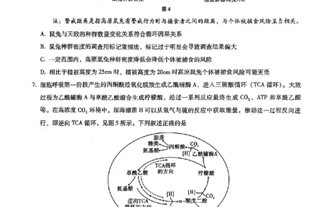 重庆市第八中学2025届高三5月适应性月考卷（七）生物_2025年5月_250515重庆市第八中学2025届高三5月适应性月考卷（七）（全科）