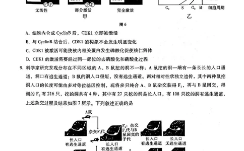 重庆市第八中学2025届高三5月适应性月考卷（七）生物_2025年5月_250515重庆市第八中学2025届高三5月适应性月考卷（七）（全科）