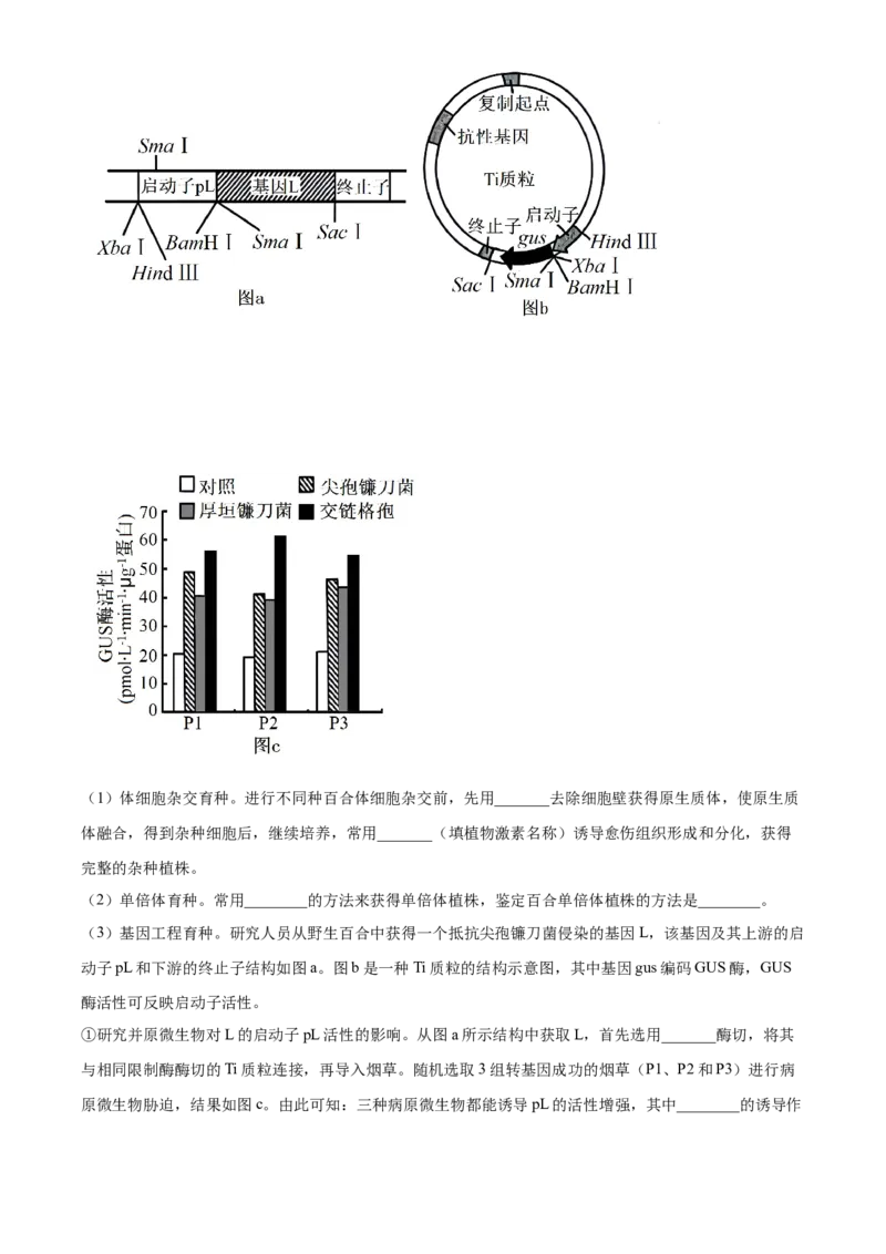 2024年新课标湖南高考真题生物试卷（原卷版）_高考真题全网收集_生物学_2024年新高考湖南卷生物高考真题解析（参考版）