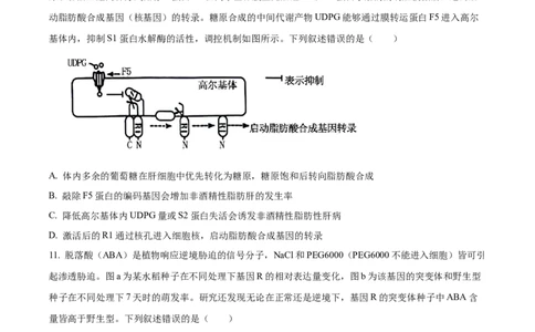 2024年新课标湖南高考真题生物试卷（原卷版）_高考真题全网收集_生物学_2024年新高考湖南卷生物高考真题解析（参考版）