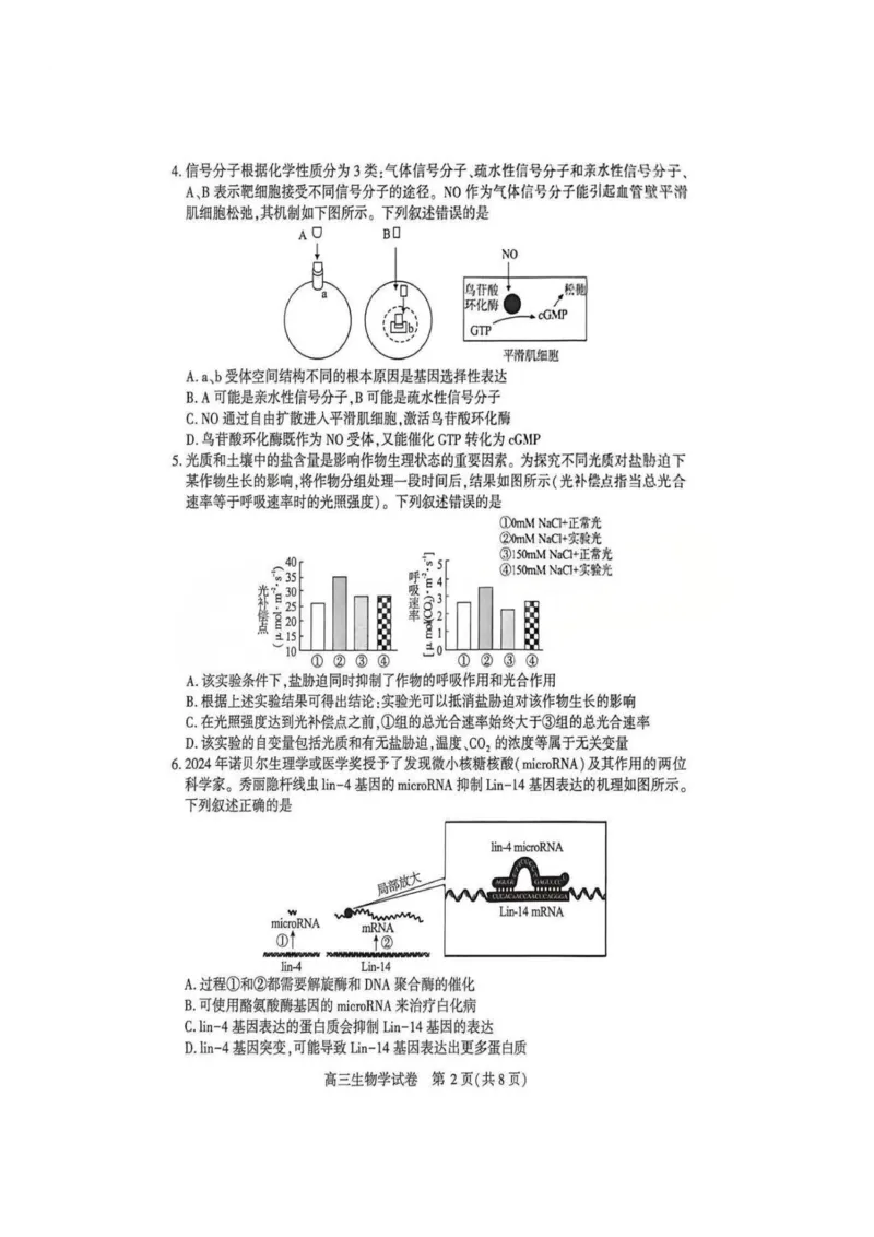 生物-湖北省荆州2026届高三年级元月质量检测(荆州宜昌荆门元调)(1)_2026年1月_260118湖北省荆州2026届高三年级元月质量检测(荆州宜昌荆门元调）（全科）