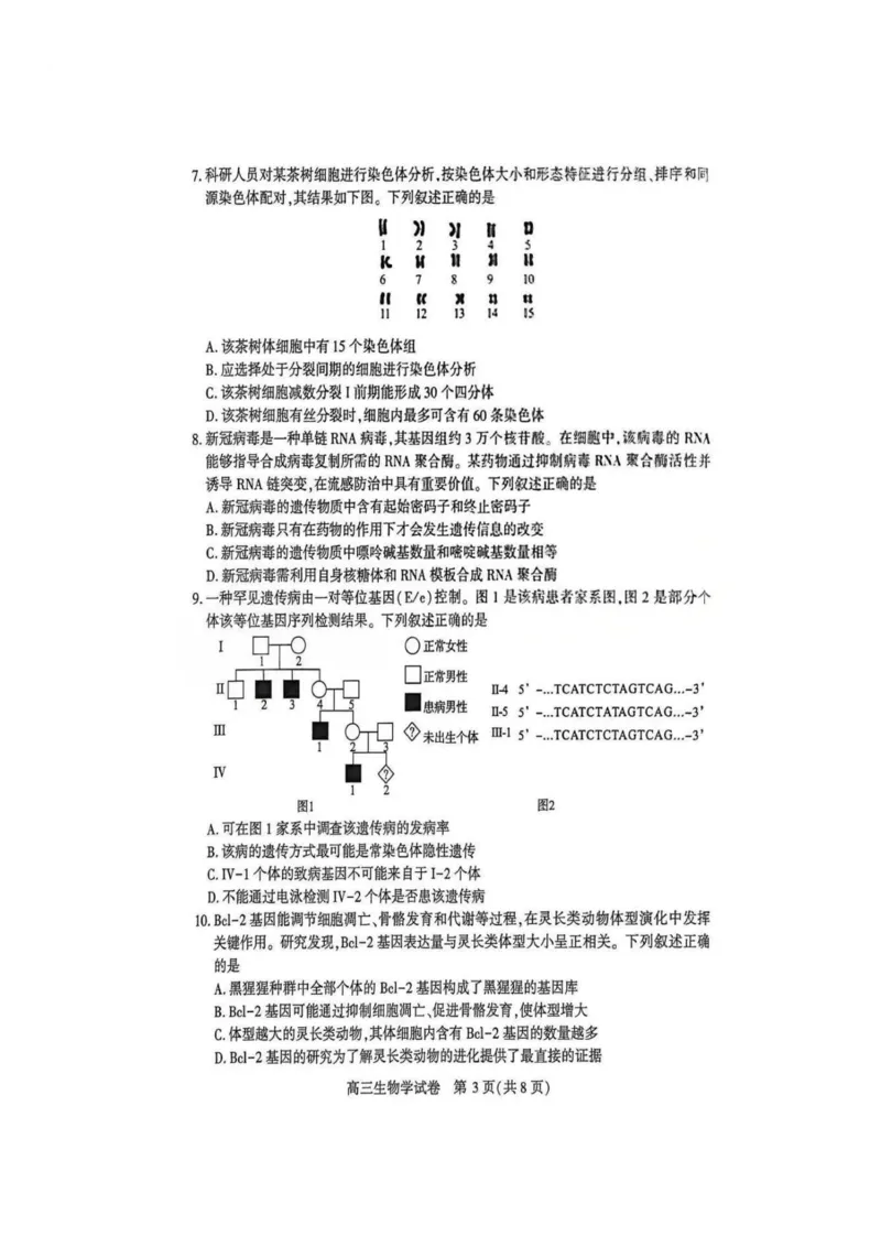 生物-湖北省荆州2026届高三年级元月质量检测(荆州宜昌荆门元调)(1)_2026年1月_260118湖北省荆州2026届高三年级元月质量检测(荆州宜昌荆门元调）（全科）