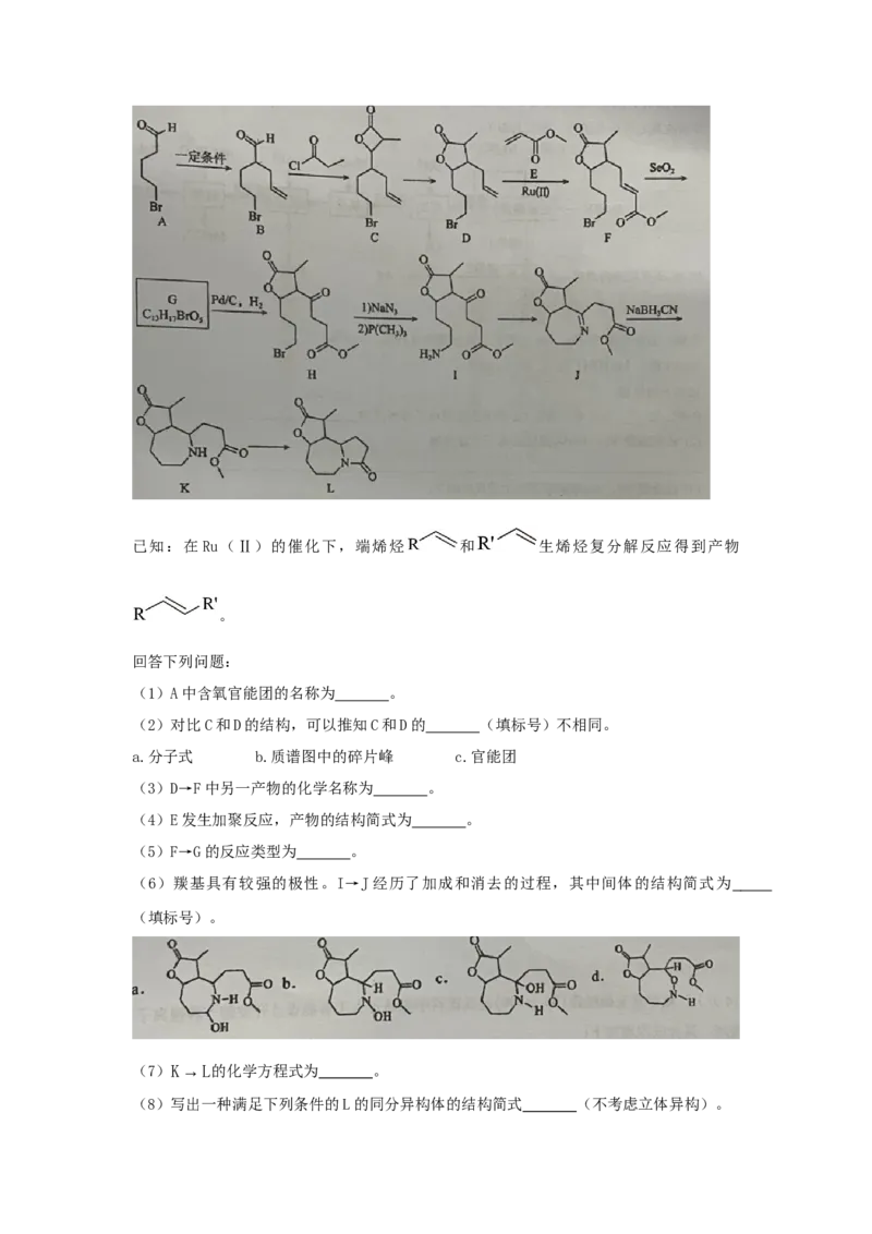 重庆实验外国语学校2025-2026学年度（上）高2026届9月月考（二）化学_2025年10月_251001重庆实验外国语学校2025-2026学年高三上学期9月月考（二）（全科）