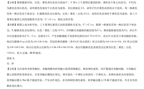 东北育才学校科学高中部2023-2024学年度高考适应性测试（一）生物参考答案_2023年7月_01每日更新_30号_2024届辽宁省沈阳市东北育才学校科学高中部高三高考适应性测试（一）