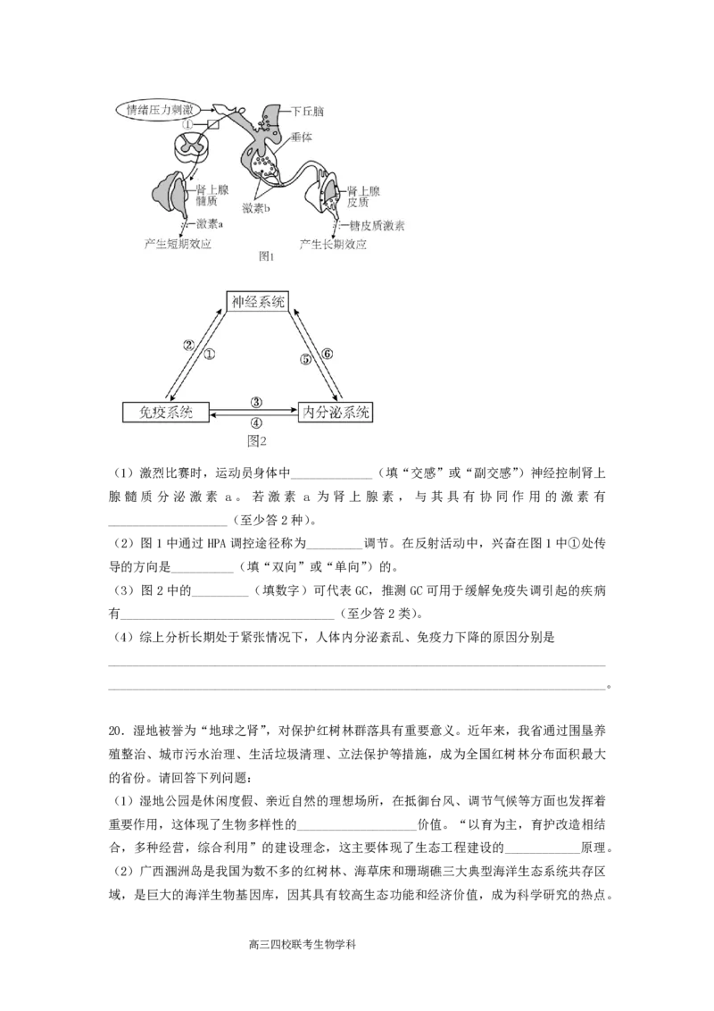 2024届广东省四校高三第一次联考生物(1)_2023年8月_028月合集_2024届广东省四校（深中、华附、省实、广雅）高三上学期第一次联考