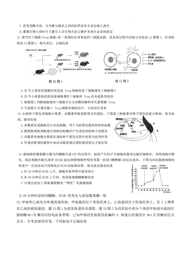 重庆市九龙坡区育才中学2026届高三上学期1月模拟预测（一诊）生物试题(1)_2026年1月_260114重庆市育才中学校高2026届一诊模拟考试（全）