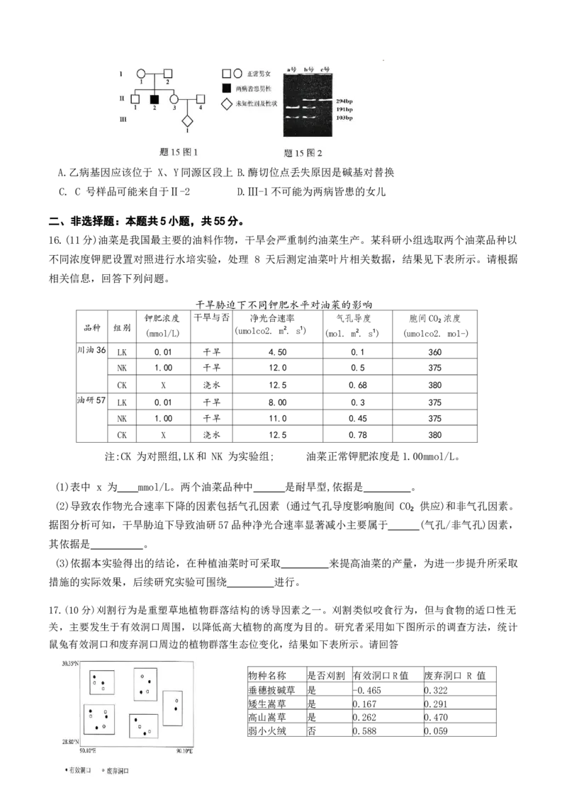 重庆市九龙坡区育才中学2026届高三上学期1月模拟预测（一诊）生物试题(1)_2026年1月_260114重庆市育才中学校高2026届一诊模拟考试（全）