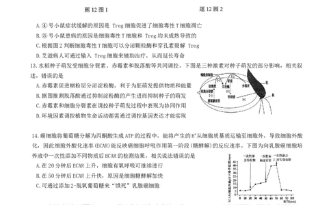 重庆市九龙坡区育才中学2026届高三上学期1月模拟预测（一诊）生物试题(1)_2026年1月_260114重庆市育才中学校高2026届一诊模拟考试（全）
