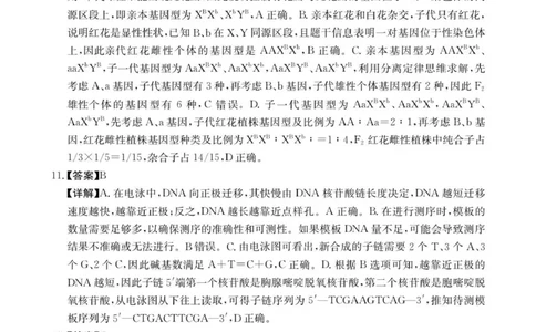生物学答案(1)_2026年1月_260106湖南省金太阳市、县级优质高中协作体2026届高三元月联考（全科）_湖南省金太阳市、县级优质高中协作体2026届高三元月联考生物
