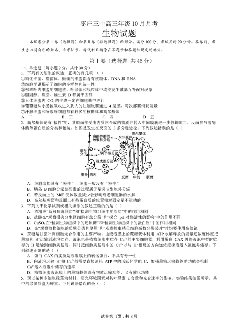 山东省枣庄市第三中学2024届高三上学期10月月考生物(1)_2023年10月_01每日更新_23号_2024届山东省枣庄市第三中学高三上学期10月月考