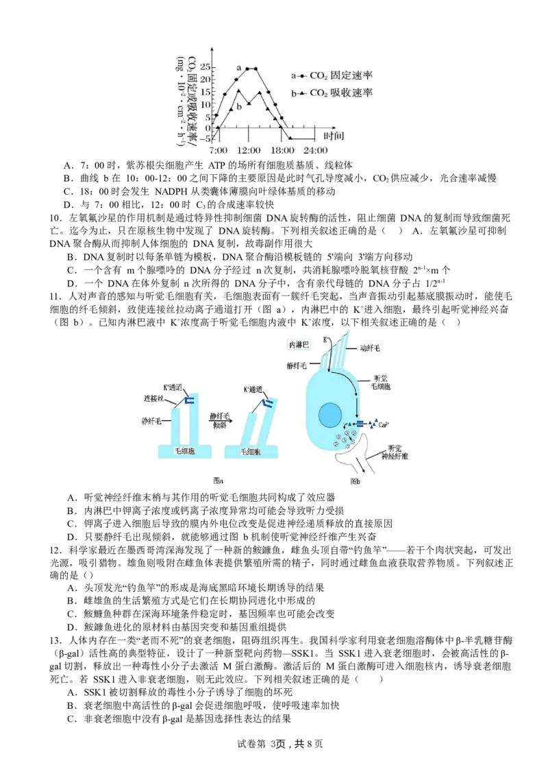 山东省枣庄市第三中学2024届高三上学期10月月考生物(1)_2023年10月_01每日更新_23号_2024届山东省枣庄市第三中学高三上学期10月月考