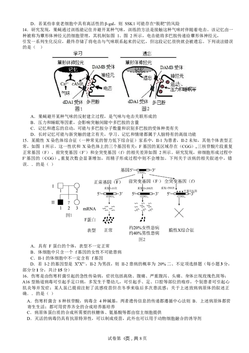 山东省枣庄市第三中学2024届高三上学期10月月考生物(1)_2023年10月_01每日更新_23号_2024届山东省枣庄市第三中学高三上学期10月月考