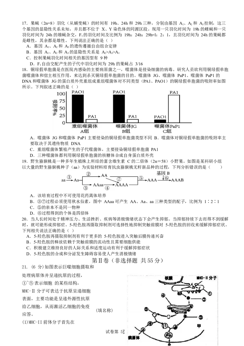 山东省枣庄市第三中学2024届高三上学期10月月考生物(1)_2023年10月_01每日更新_23号_2024届山东省枣庄市第三中学高三上学期10月月考